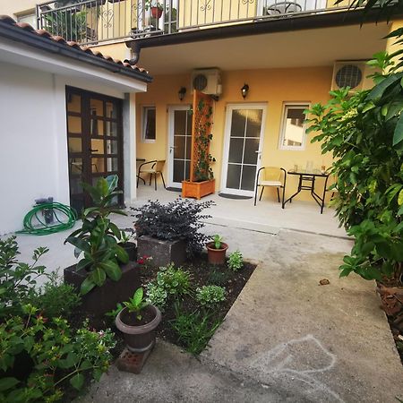 Radovic Apartments ブドヴァ 部屋 写真